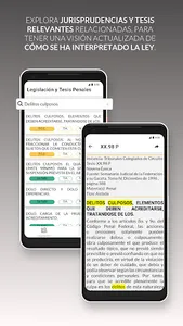 Leyes y Tesis Penales screenshot 3