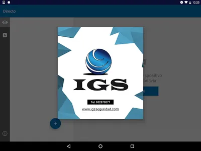 IGS Seguridad EasyView screenshot 6