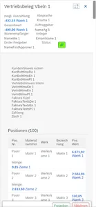 Vertriebsbelegfreigabe screenshot 3