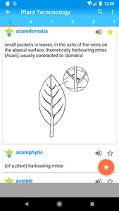Plant Terminology A-Z Complete screenshot 12
