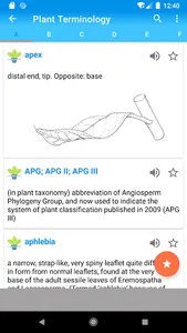 Plant Terminology A-Z Complete screenshot 20