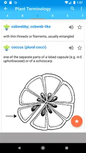 Plant Terminology A-Z Complete screenshot 4