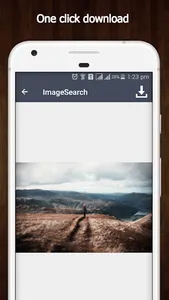 Image Search screenshot 3