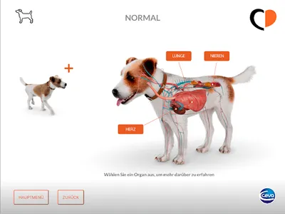 Canine DMVD screenshot 2