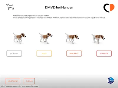 Canine DMVD screenshot 5