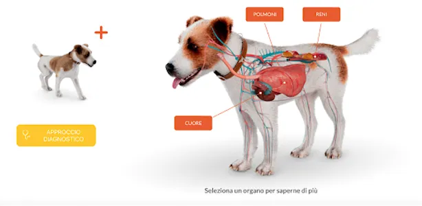 MMVD App screenshot 0