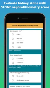 Kidney Stone Scoring screenshot 0