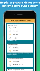 Kidney Stone Scoring screenshot 1