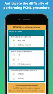 Kidney Stone Scoring screenshot 2