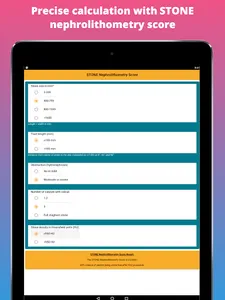 Kidney Stone Scoring screenshot 3