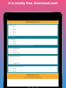 Kidney Stone Scoring screenshot 4