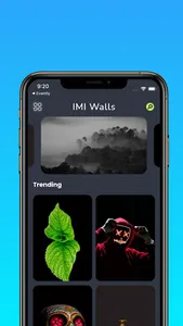 IMI WallDrops screenshot 2