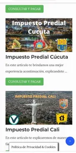 Impuesto Predial screenshot 2