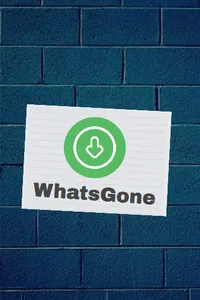 WhatsGone screenshot 0