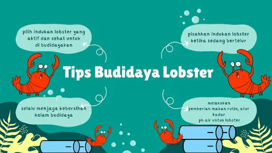 Cara Bisnis Lobster Air Tawar screenshot 3