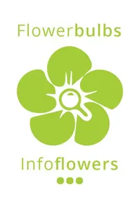 Info-Flowerbulbs screenshot 0