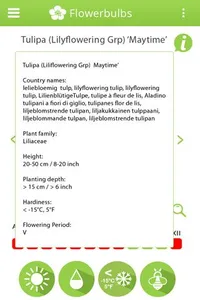 Info-Flowerbulbs screenshot 4