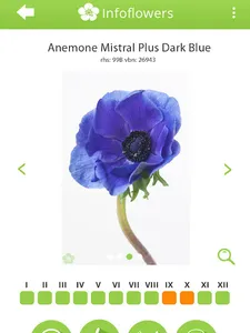 InfoFlowers screenshot 11