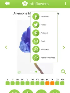 InfoFlowers screenshot 12