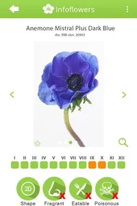 InfoFlowers screenshot 2