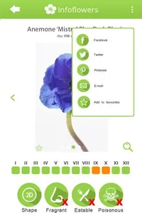 InfoFlowers screenshot 4