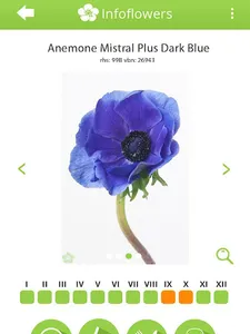 InfoFlowers screenshot 7