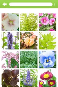 Info-OutdoorPlants screenshot 1
