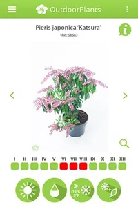 Info-OutdoorPlants screenshot 2