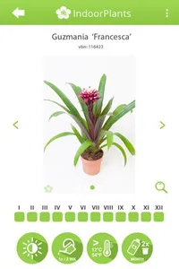 Info-IndoorPlants screenshot 2