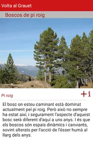 Camins de Vallcebre screenshot 5