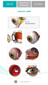 Oftalmología 3D screenshot 1