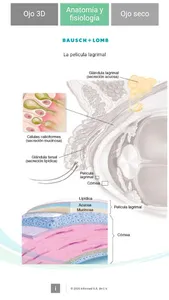 Oftalmología 3D screenshot 4