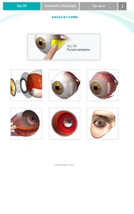 Oftalmología 3D screenshot 5