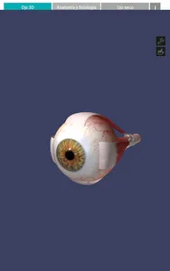 Oftalmología 3D screenshot 8