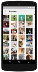 Fotos de Gatos screenshot 1