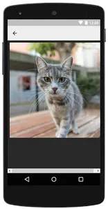 Fotos de Gatos screenshot 2