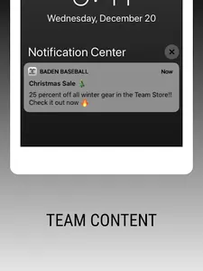 Baden Baseball screenshot 11