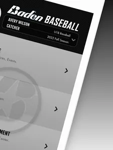 Baden Baseball screenshot 13