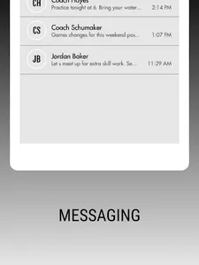 Baden Baseball screenshot 15