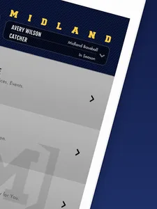Midland screenshot 7