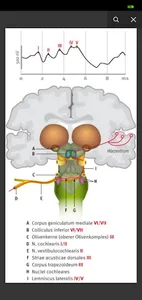 inomed eApplication notes screenshot 6