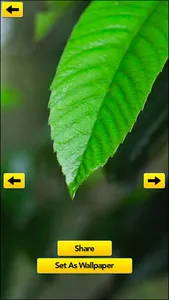 Rain Drops Sounds Videos screenshot 5