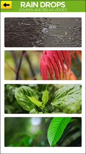 Rain Drops Sounds Videos screenshot 7