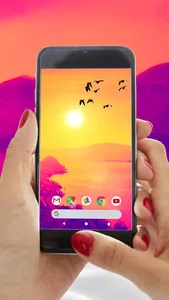 Sunset Birds Video Wallpaper screenshot 0