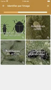Diagnoplant Biocontrôle screenshot 2
