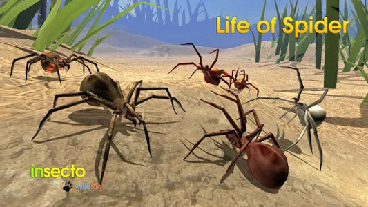 Life of Spider screenshot 1