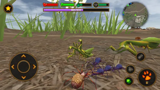 Life of Spider screenshot 10