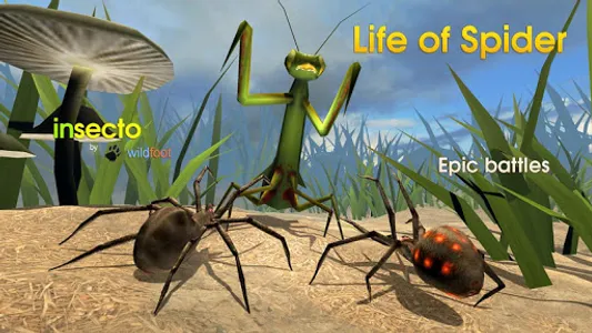 Life of Spider screenshot 12