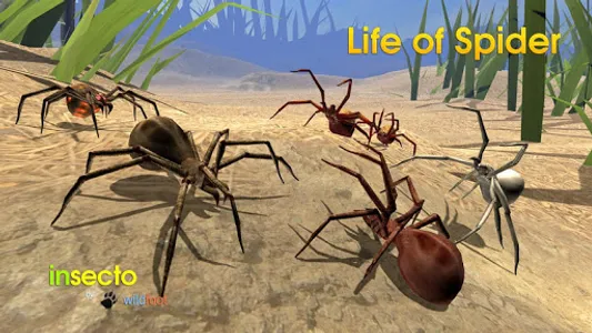 Life of Spider screenshot 13