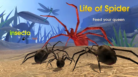 Life of Spider screenshot 14